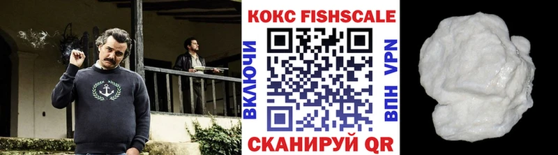 COCAIN FishScale  Купить  Соликамск 